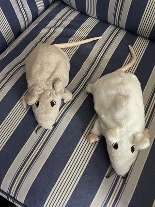 DOS simpáticos y divertidos ratones de IKEA