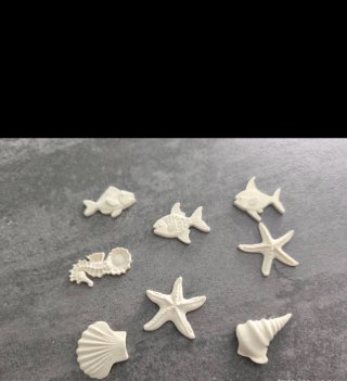 Imanes decorativos marinos