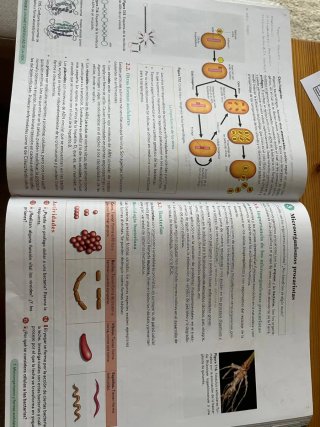 Biología, Geología y CC. Ambientales 1º Bachill...