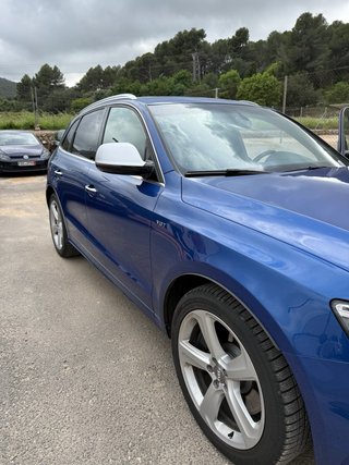 Audi SQ5 2015