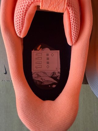 Zapatillas Nike Pegasus Trail 5 Talla 44
