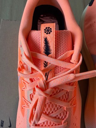 Zapatillas Nike Pegasus Trail 5 Talla 44