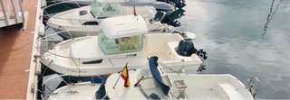 Barco Teychan 540 T. con Motor Tohatsu