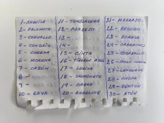 Colección Peces Cantábrico