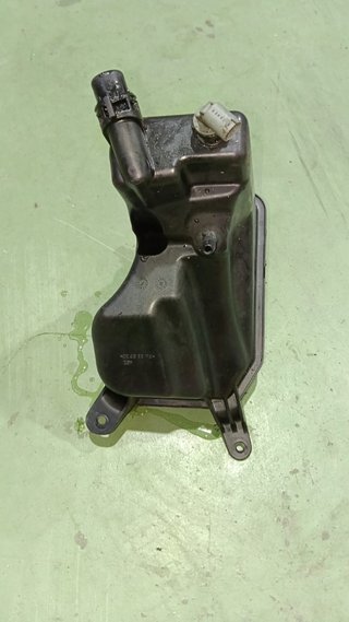 Vaso expansión BMW 335i