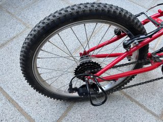 Bicicleta Infantil 20 pulgadas