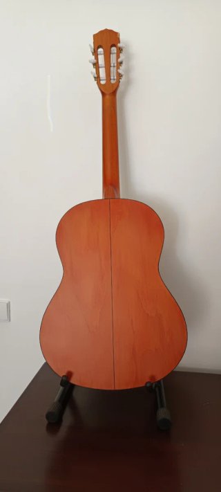 Guitarra Acústica ESC 105
