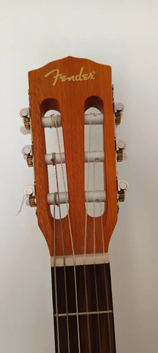 Guitarra Acústica ESC 105