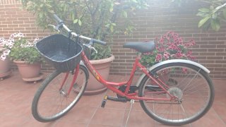 Bicicleta Paseo Roja con Cesta