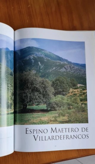 Libro Árboles Monumentales de España en perfecto e