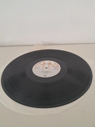Gino Vannelli - Powerful People Vinilo LP
