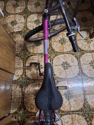 Bicicleta infantil rosa