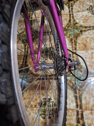 Bicicleta infantil rosa