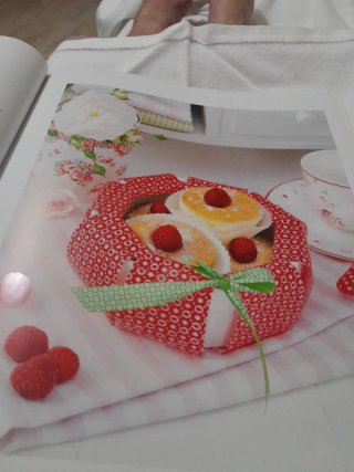 Libro Costura con Telas Plastificadas