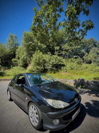 Peugeot 206 gti