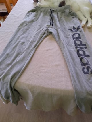Pantalones Adidas grises