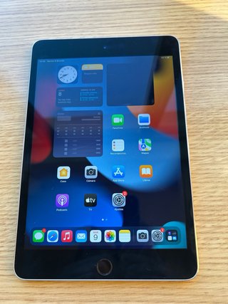 iPad Mini 4 - Grigio Siderale - Perfetto Stato