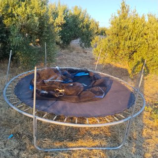 Cama elástica