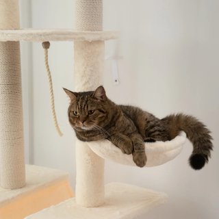 Albero per Gatti da Terra al Soffitto 225-255 cm