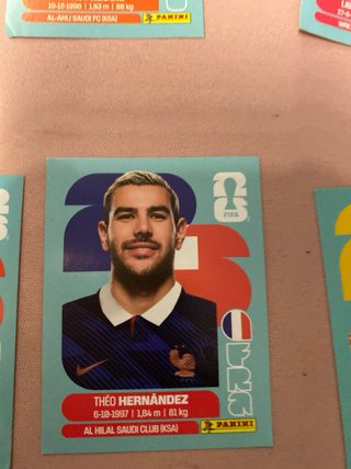 Cartas Panini Mundial Álbum Estampas