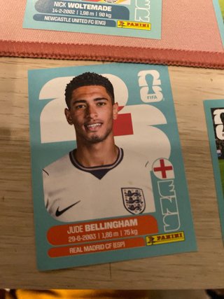 Cartas Panini Mundial Álbum Estampas