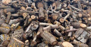 Leña para chimenea