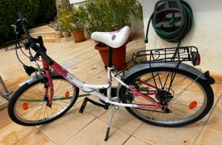 Bicicleta niña 20Pul "revisada"