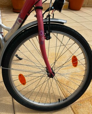 Bicicleta niña 20Pul "revisada"