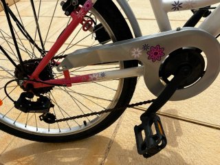 Bicicleta niña 20Pul "revisada"