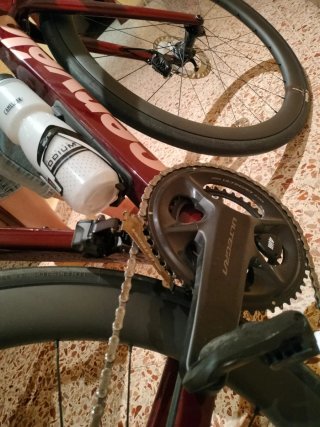 Cervélo Caledonia-5 2025