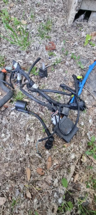 Instalación eléctrica Yamaha TZR 50
