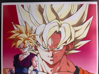 Póster Dragon Ball Z Videojuegos mas regalo