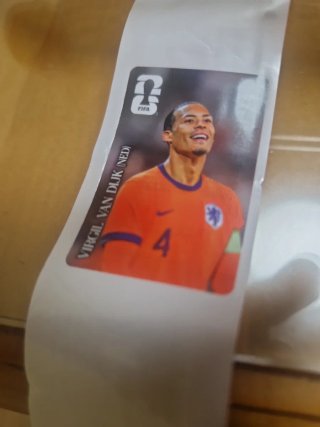 Cromo Virgil Van Dijk (NED) FIFA