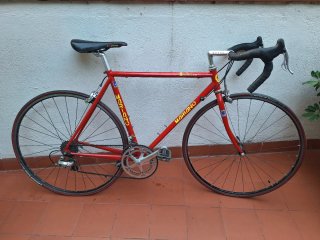 Bicicleta Carretera Martano Campagnolo