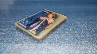 Lote 20 cartas Lamincards WWE 2007 (New Edition)