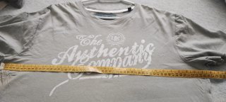 Camiseta Estampada The Authentic Company Gris XL