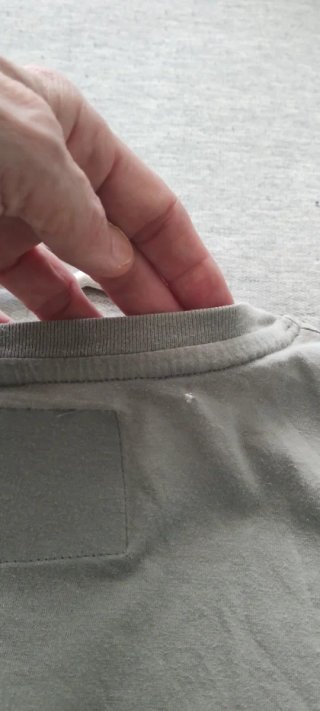 Camiseta Estampada The Authentic Company Gris XL