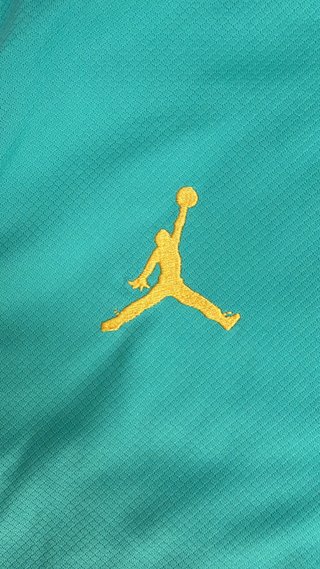 Conjunto Jordan Brasil Entrenamiento Talla L