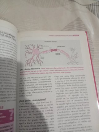 Psicología Para Todos # 1