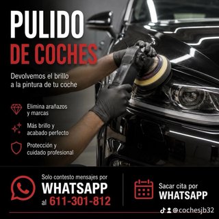 Detallado de coches