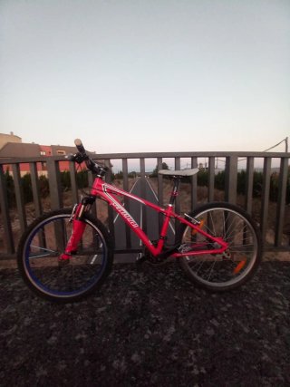Bicicleta Specialized Roja con Sillín y Luz