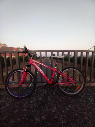 Bicicleta Specialized Roja con Sillín y Luz
