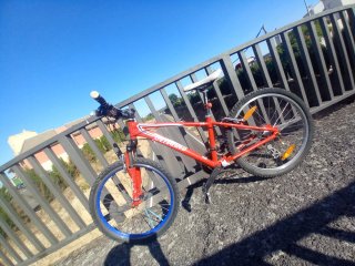 Bicicleta Specialized Roja con Sillín y Luz