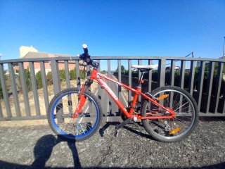 Bicicleta Specialized Roja con Sillín y Luz