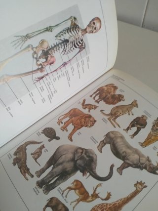 REGALO (LEER!!!)