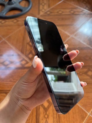 iPhone 14 Pro Max Negro