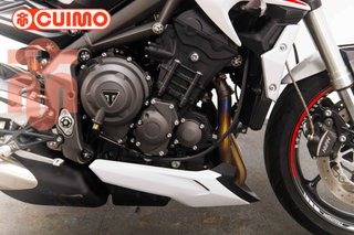 TRIUMPH STREET TRIPLE S