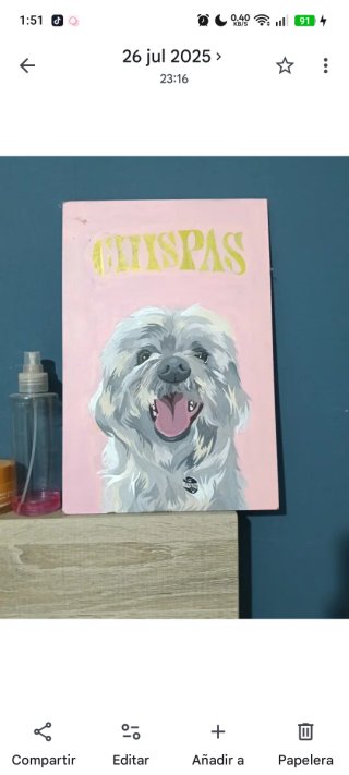 Dibujos de mascotas personalizados
