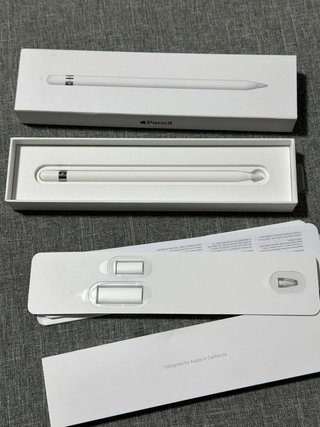 Apple Pencil A1603  para Ipad A16 y iPad 10