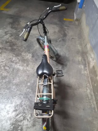 Bicicleta niña 20 pulgadas
